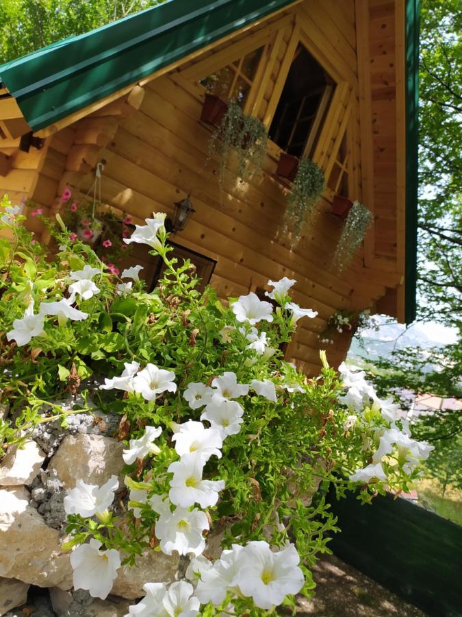Villa Brvnara Fairy Tale à Cetinje Extérieur photo