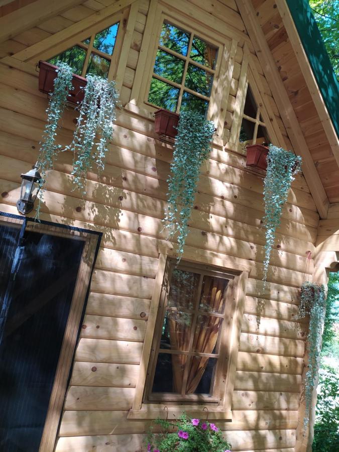 Villa Brvnara Fairy Tale à Cetinje Extérieur photo
