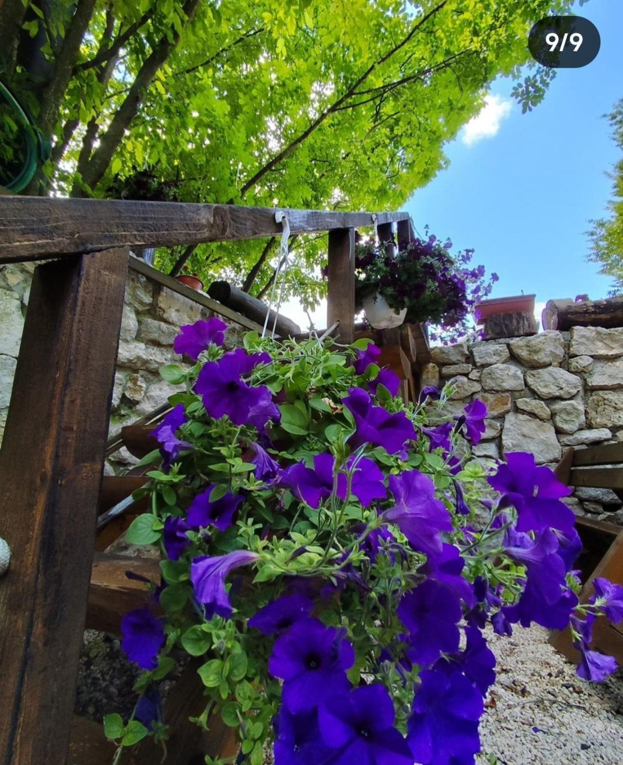 Villa Brvnara Fairy Tale à Cetinje Extérieur photo