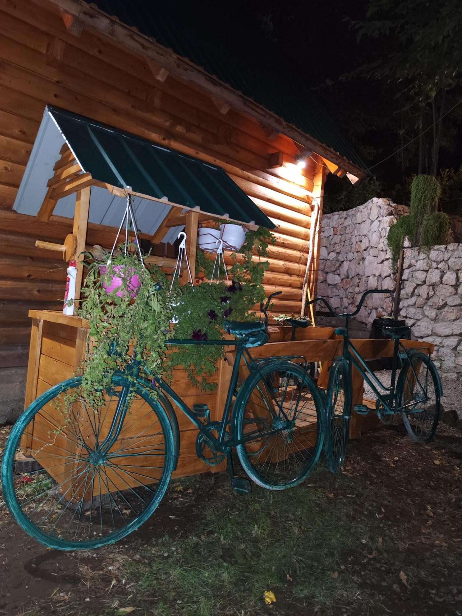 Villa Brvnara Fairy Tale à Cetinje Extérieur photo